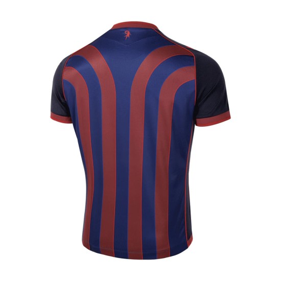 Camiseta Niño FC Basilea 1893 2025/26 Local