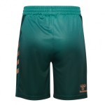 Pantalones Cortos Terceros Werder Bremen 2025/26 Hombre
