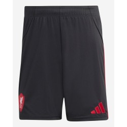 Pantalones Visitante Liverpool Hombre 2025/26 Pantalones Visitante Liverpool Hombre 2025/26