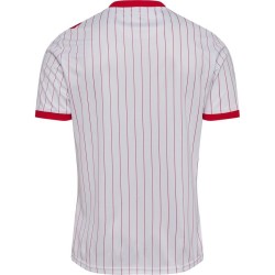 Camiseta Mundial 2026 Visitante Dinamarca Hombre