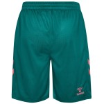 Pantalones Cortos Terceros Werder Bremen 2026/27 para Hombre