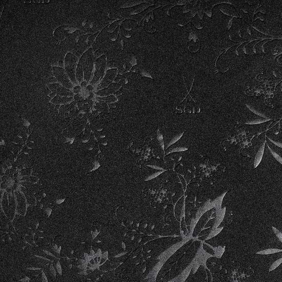 Camiseta Especial Totalmente Negra Dynamo Dresden Niño 2025/26