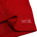 Camiseta Mundial 2026 Local Manga Larga Dinamarca Hombre Camiseta Mundial 2026 Local Manga Larga Dinamarca Hombre
