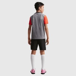 Niño Chelsea 2025/26 Tercera Camiseta Pre-Partido Gris