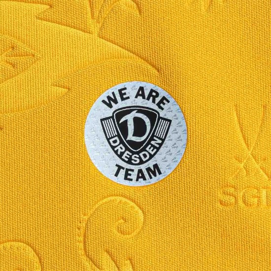 Camiseta de hombre Dynamo Dresden 2025/26 local de manga larga