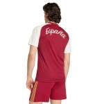 Camiseta Prepartido Visitante Mundial España 2026 Niño Camiseta Prepartido Visitante Mundial España 2026 Niño
