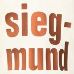 Camiseta Especial 2025/26 FC Augsburg Crema Mujer