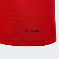 Niño Gales 2025/26 Camiseta de Manga Larga 150.º Aniversario