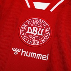 Camiseta Mundial 2026 Local Manga Larga Dinamarca Niño