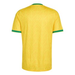 Camiseta local Sudáfrica 2026 Copa del Mundo hombre