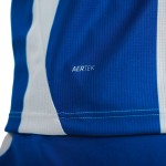 Camiseta de Manga Larga de Local Hertha BSC 2026/27 para Hombre
