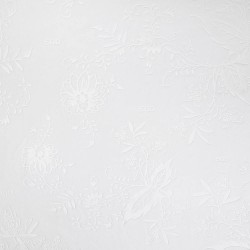 Hombre Dynamo Dresden 2025/26 Camiseta Especial Whiteout