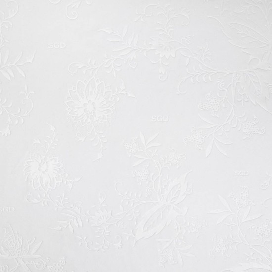 Mujer Dynamo Dresden 2025/26 Camiseta Especial Whiteout