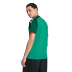 Camiseta visitante Argelia 2026 Copa del Mundo hombre Camiseta visitante Argelia 2026 Copa del Mundo hombre