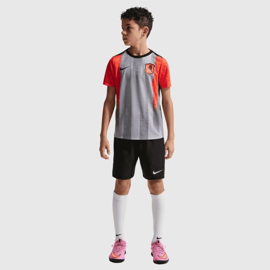 Niño Chelsea 2025/26 Tercera Camiseta Pre-Partido Gris