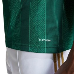Camiseta infantil Sudáfrica 2026 Copa del Mundo visitante
