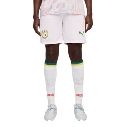 Pantalones Cortos Mundial 2026 Local Senegal Niño