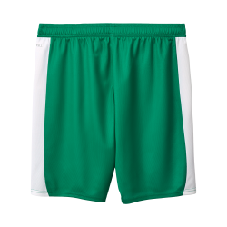 Pantalones cortos visitante SpVgg Greuther 2025/26 hombre Pantalones cortos visitante SpVgg Greuther 2025/26 hombre