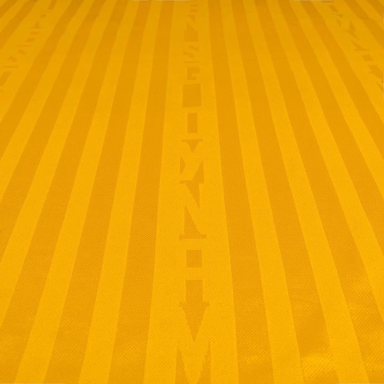 Camiseta de local 2026/27 infantil del Dynamo Dresden