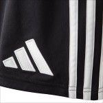 Pantalones Cortos Europeos Terceros OL 2025/26 para Hombre