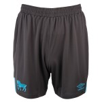 Niño Ipswich Town 2025/26 Tercero Pantalones Cortos Niño Ipswich Town 2025/26 Tercero Pantalones Cortos