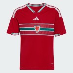 Camiseta local de la Copa del Mundo 2026 de Gales para niño