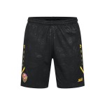 Pantalones cortos local Dynamo Dresden 2025/26 mujer