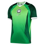 Camiseta Mundial 2026 Local Nigeria Hombre