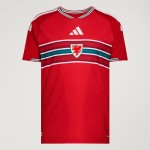 Camiseta local auténtica de la Copa del Mundo 2026 de Gales para hombre